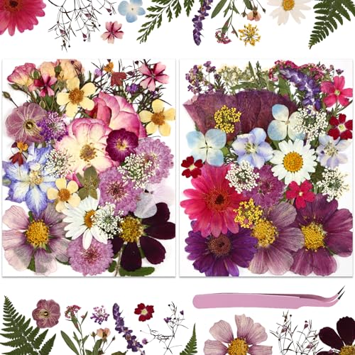 NATISERAUM 70Pcs Dried Pressed Flowers for Crafts, Natural Dry Flowers for Resin with Tweezer for Scrapbooking DIY Art Crafts, Epoxy Jewelry Molds, Candle, Soap Making