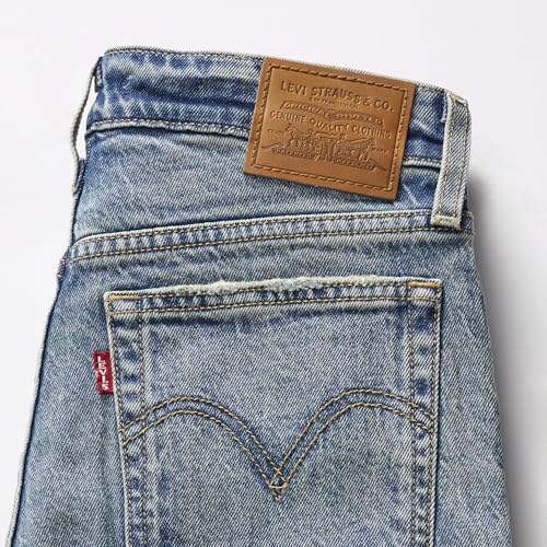 Levi's Women's Premium Plus-Size Wedgie Straight Jean4