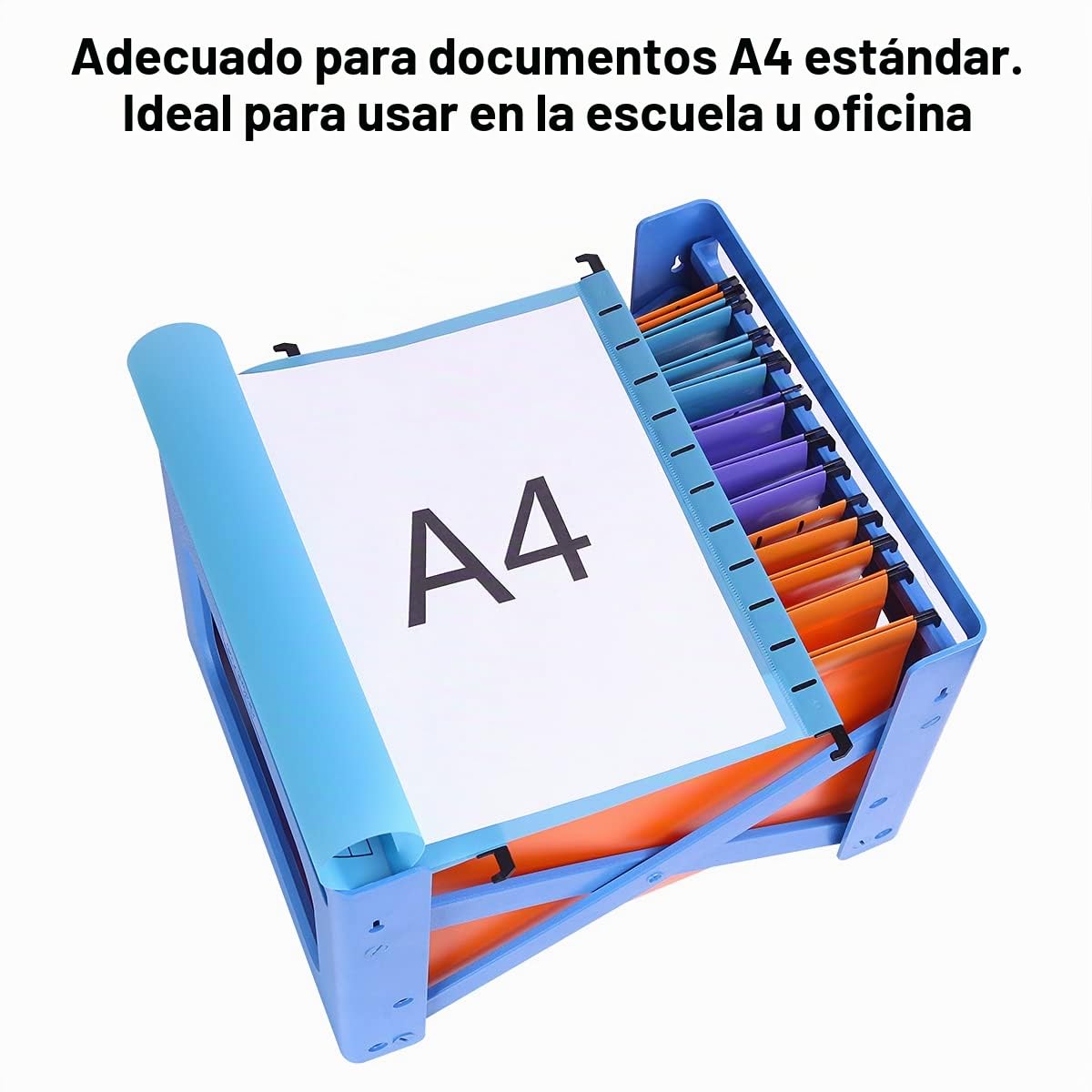 Paquete de 12 unidades Archivo Carpetas Colgantes Polipropileno, tamaño A4, con pestañas e insertos de Tarjeta para Archivadores, color Azul