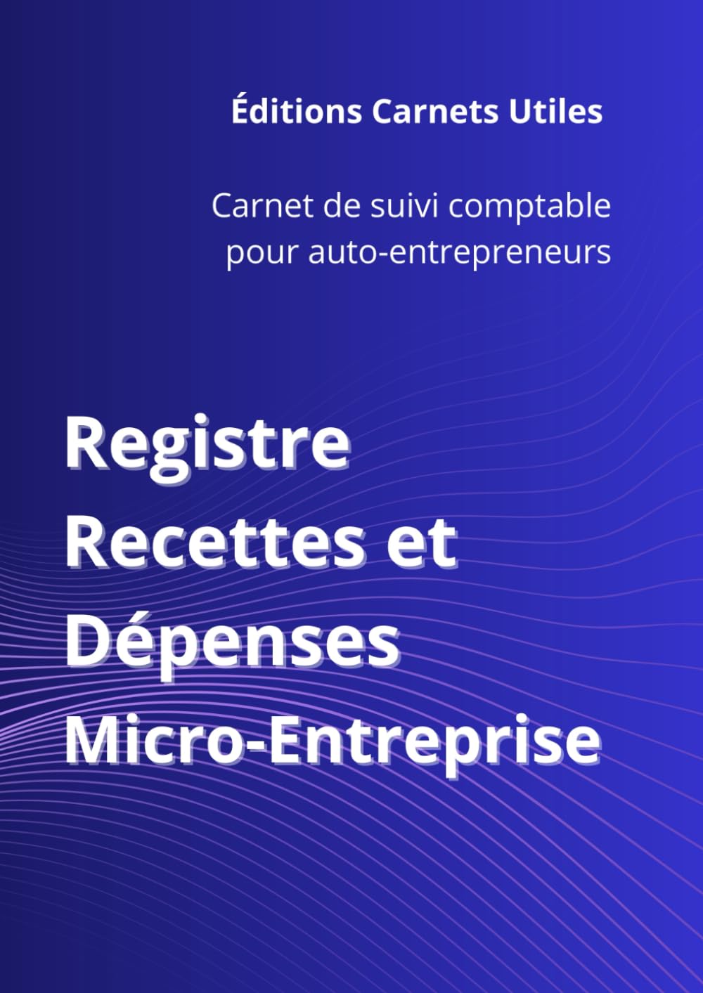 Registre Recettes & Dépenses: Micro-Entreprise – Auto-entrepreneurs & indépendants – Suivi comptable sur support papier