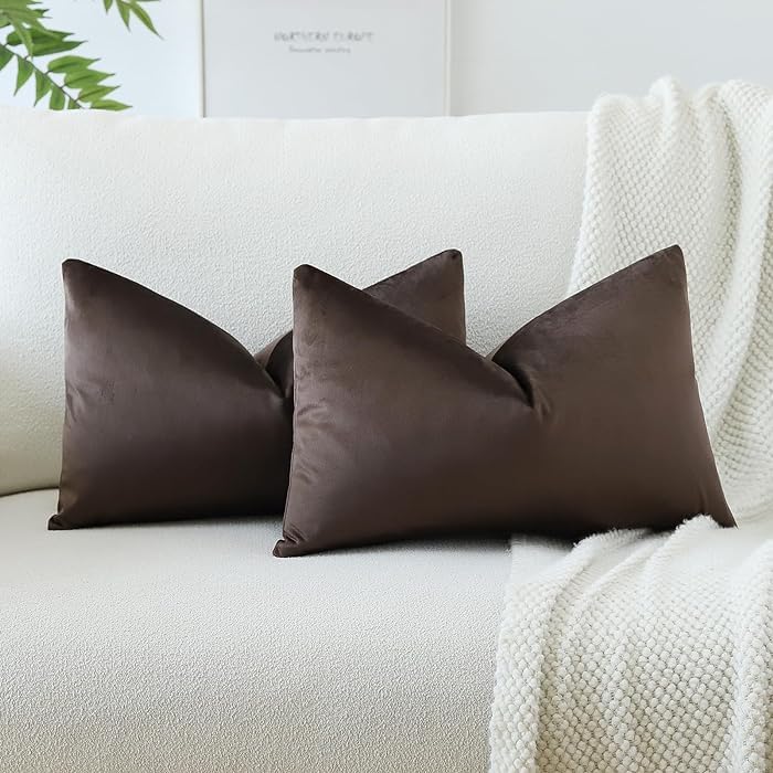 Remsy -2 Pcs Reversible Velvet Pillow Covers Throw Pillow Case Soft Cozy Velvet Rectangle Home Decorative Throw Cushion Covers for Couch and Bed, Sofa (16x24 inch (Set of 2), Coffee Brown) (B0CWN3RB9L) Amazon Price History, Amazon Price Tracker