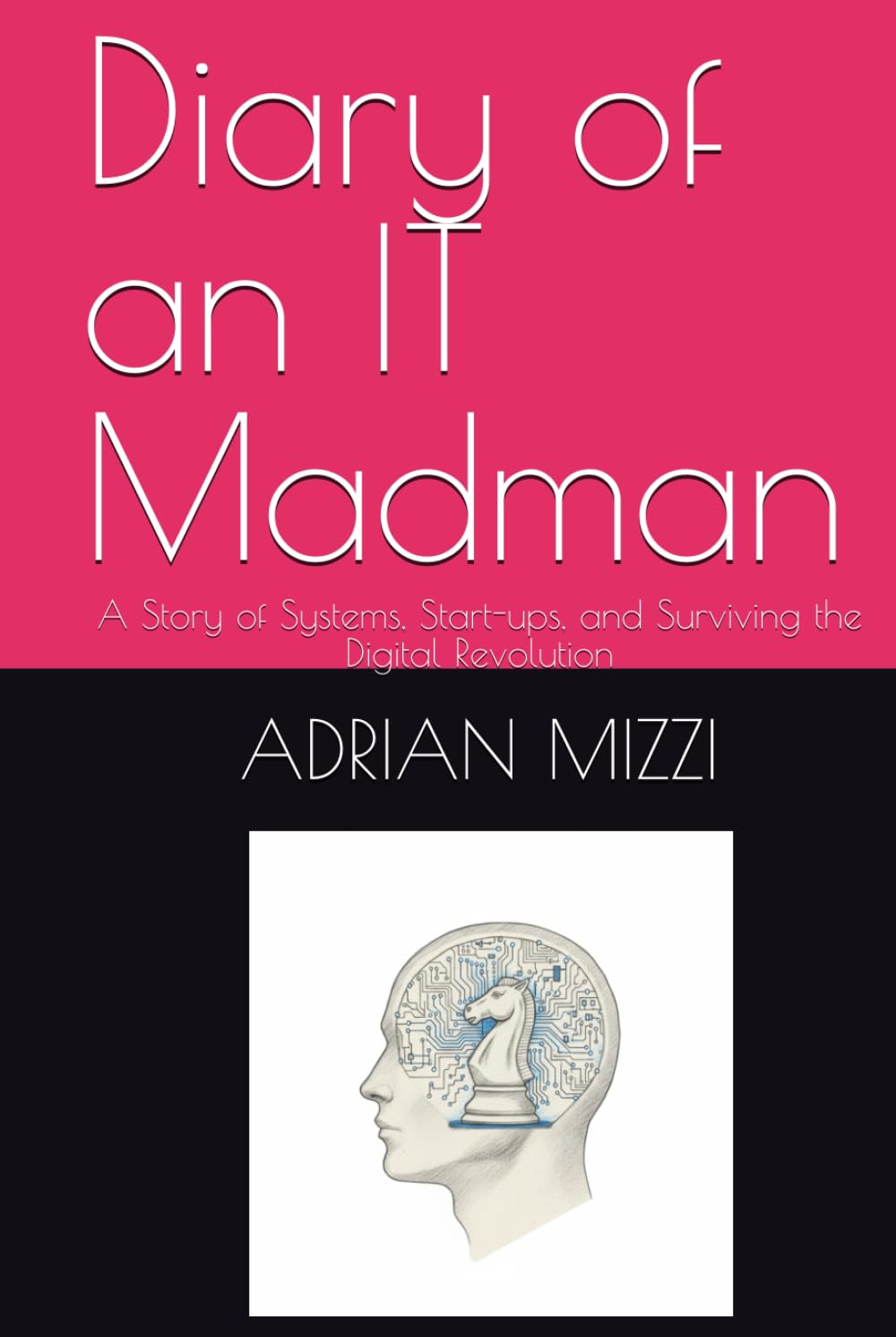 Diary of an IT Madman: A Story of Systems, Start-ups, and Surviving the Digital Revolution