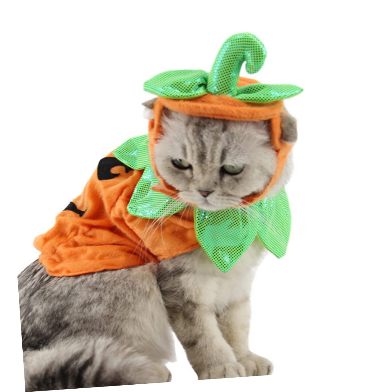 Beavorty 2 Pezzi Costumi Di Zucca Per Cani Cappotto Per Gatti Gattino Ornamento Cucciolo Di Zucca Per Animali Domestici Vestito Da Cappello Da Strega Cappello Arancione Costume Da