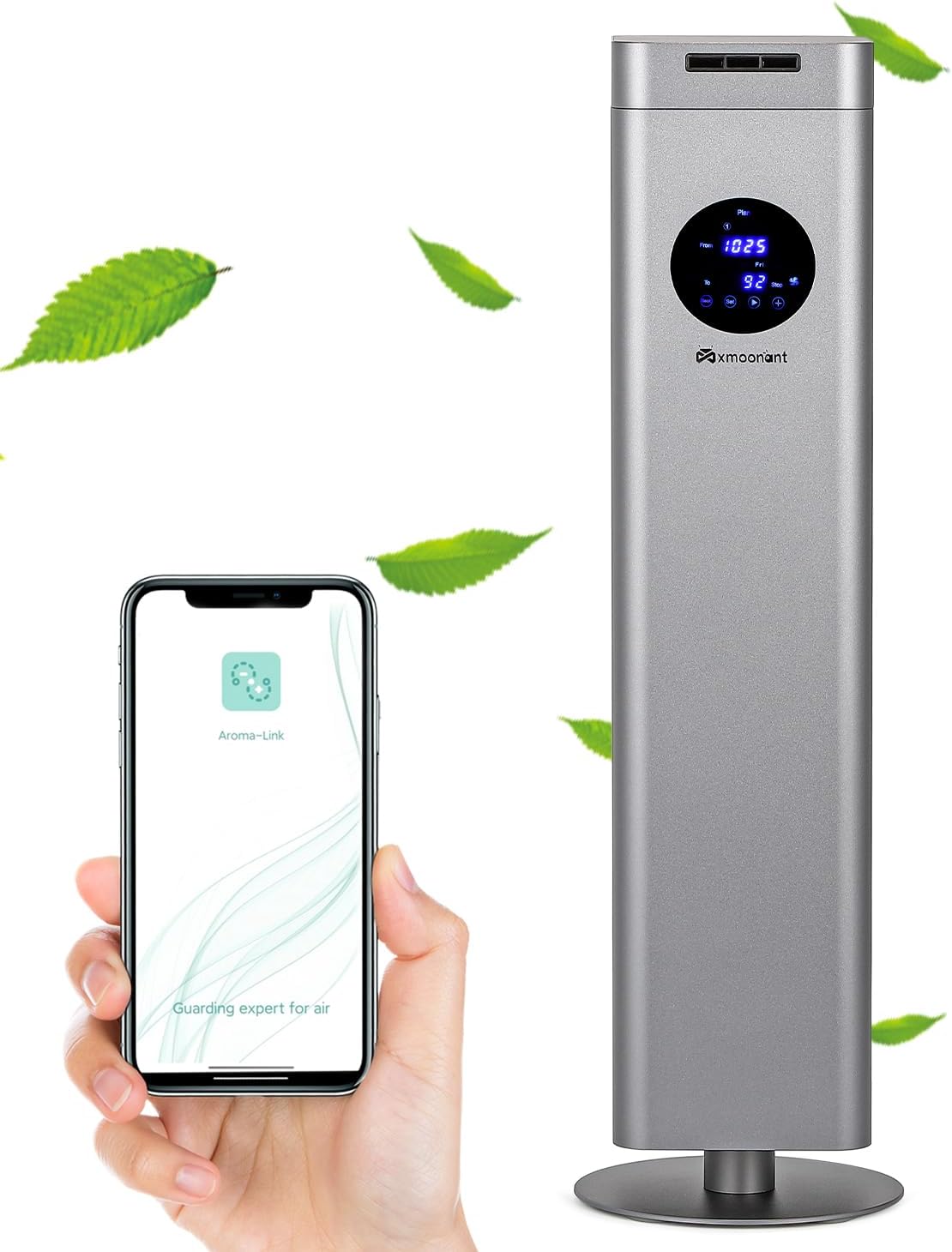 25♢S様フォロー割お値段です♢シロダーラ ポット 約1．5