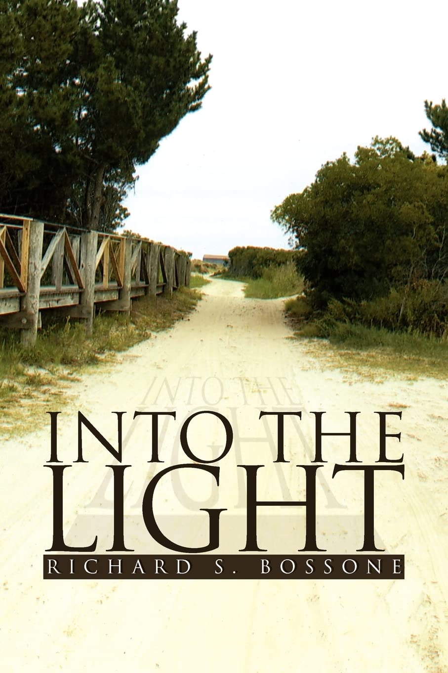 Into The Light
