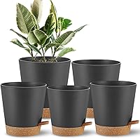 Vista 1 de Macetas de autoriego, macetas para plantas de interior, macetas para plantar flores en interiores para plantas de casa, violeta africana, flores