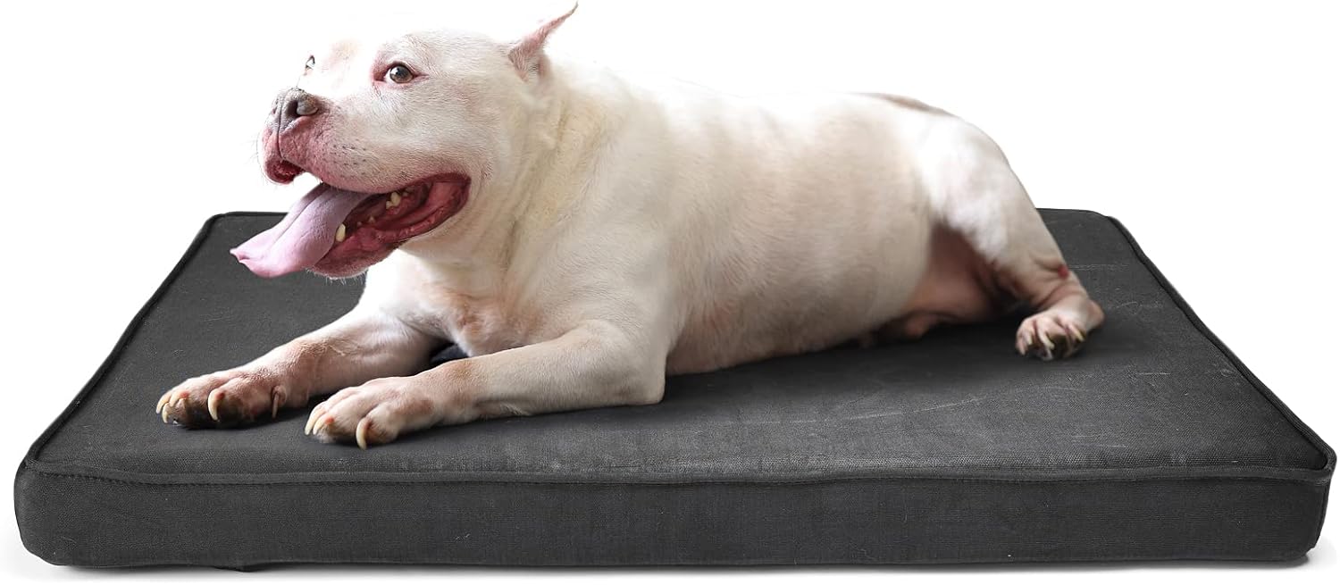 Tough Dog Bed for Aggressive Chewers Washable,Chew Ghana Ubuy