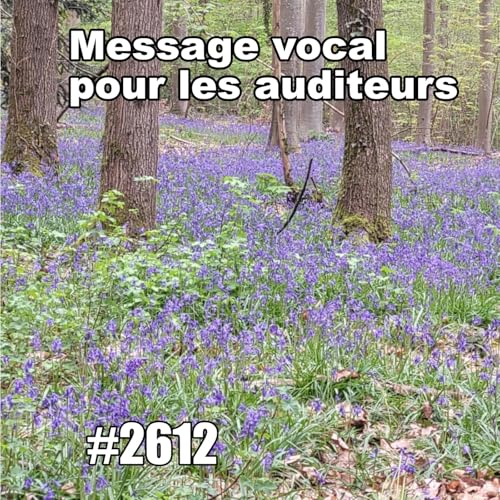 Message vocal pour les auditeurs (Easter Sunday in Paris, Normal pace)