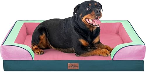 Miniatura 188 de Comfort Expression - Cama ortopédica perros pequeños, 20 x 14 pulgadas, impermeable, espuma soporte cartón de huevo, cojines extraíbles, sofá con