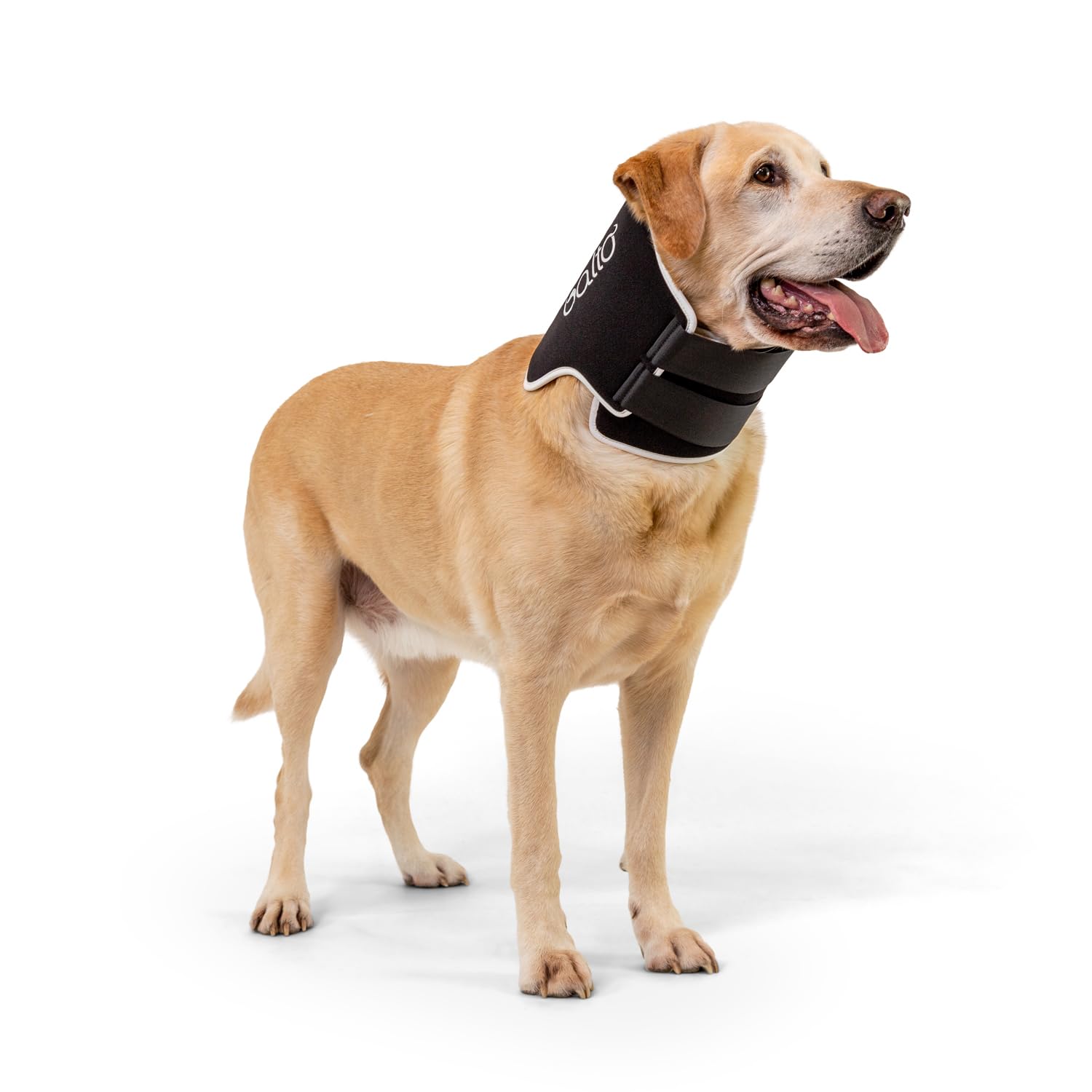Collier Rigide Anti-léchage pour Animal de Compagnie Ø 35-45 cm | Taille S - BT Neck Black Eco