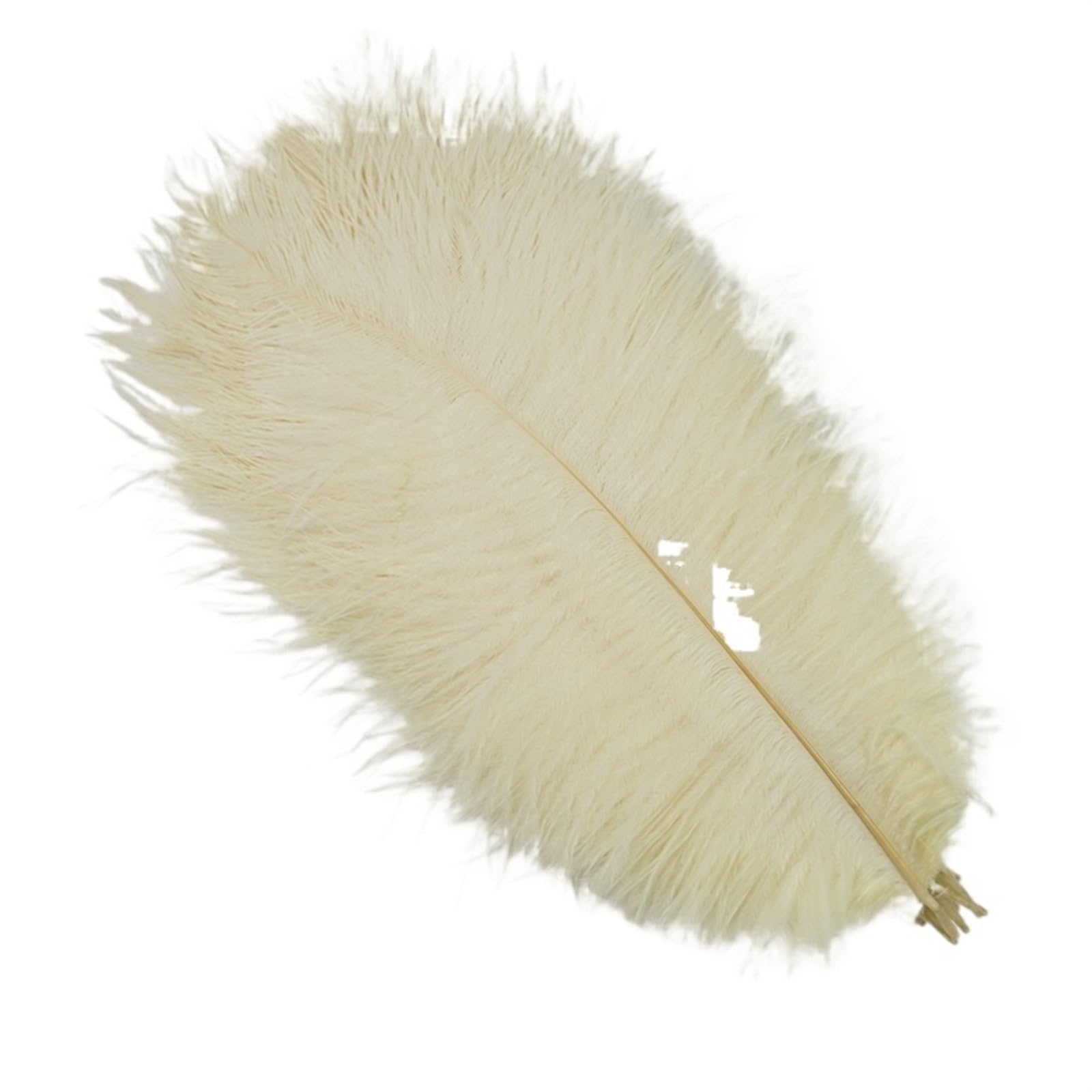 Ostrich Feathers 10Pcs Colorful Ostrich Feather Handicraft Accessories Dream Catcher Decoration Jewelry Creation Natural Plume Table Centerpieces(Beige,25-30cm 10-12inch)