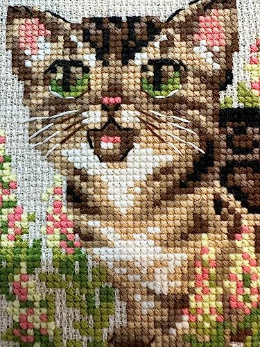 Image of RIOLIS - Bengal Kitten 2119, Cross Stitch Kits 6 inch x 6 inch, Cross Stitch Kits for Beginners & Advanced, Crossstitching Kit Adult, Embroidery Counted Stitching Kit