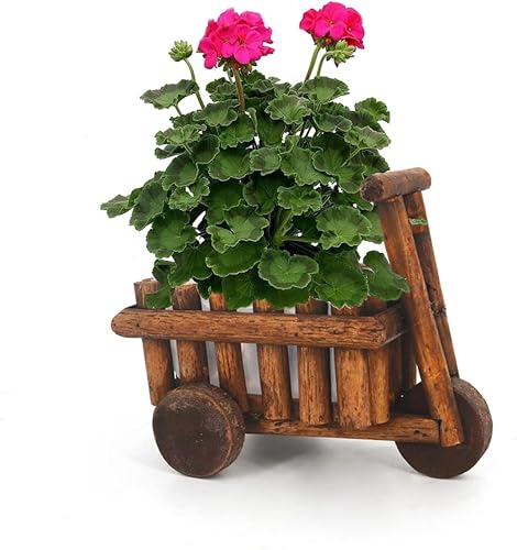 Miniatura 5 de OFFSCH Decoración de boda Planta de cactus Planta al aire libre Carro de madera Macetero decorativo de mesa Maceta de mesa de granja Carrito de