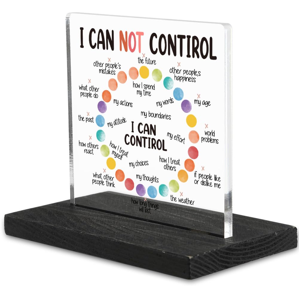 Mindset Mental Health Things I Can not Control and I Can Control Positive Affirmations Desk Decor for Women Men, School Co...