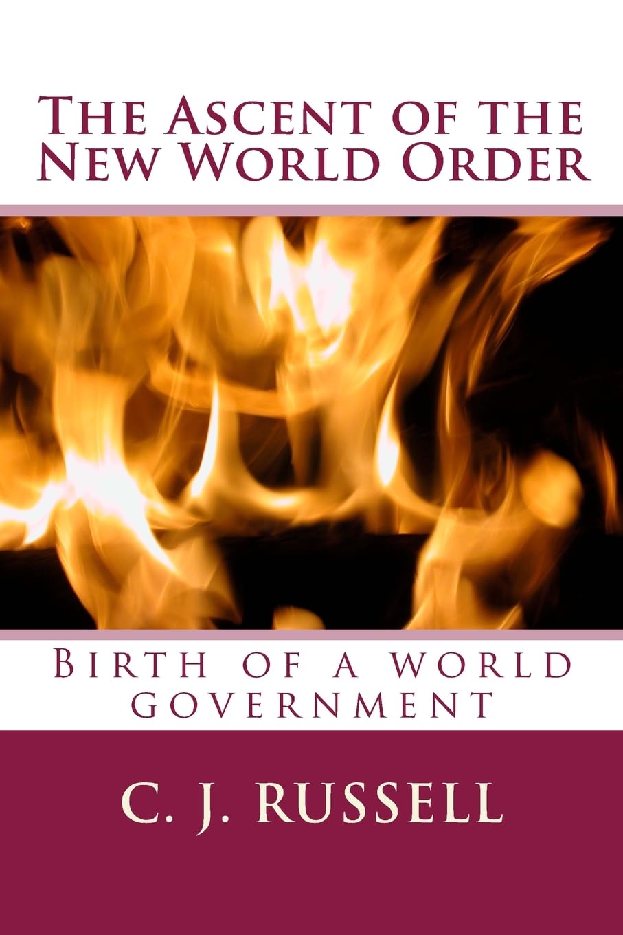 The Ascent of the New World Order: Birth of a world government.
