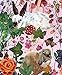 Forest Life Notes: 20 Notecards & Envelopes (Nathalie Lete Stationery, Nature Themed Blank Notecards)