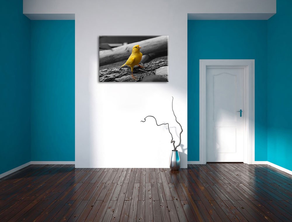 Pixxprint canarino meno vigile Stampa su tela 120x80 cm artistica murale