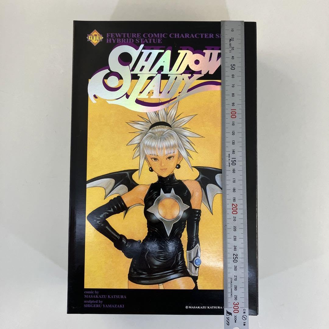 Amazon.co.jp: シャドウレディ フューチャーモデルズ コミック