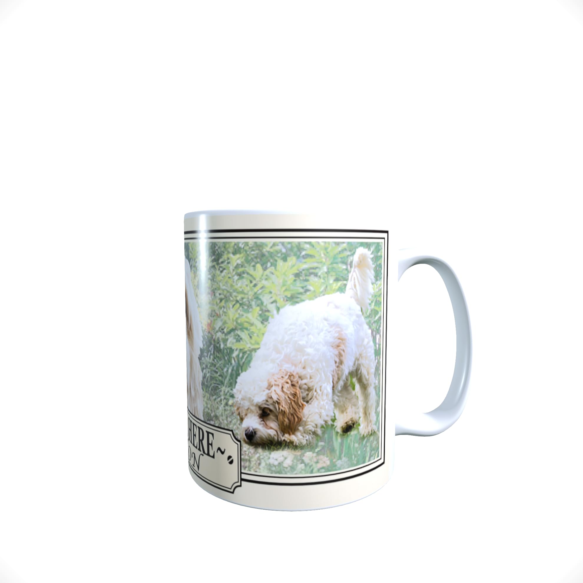 Cavachon Personalised Dog Breed Gift Mug
