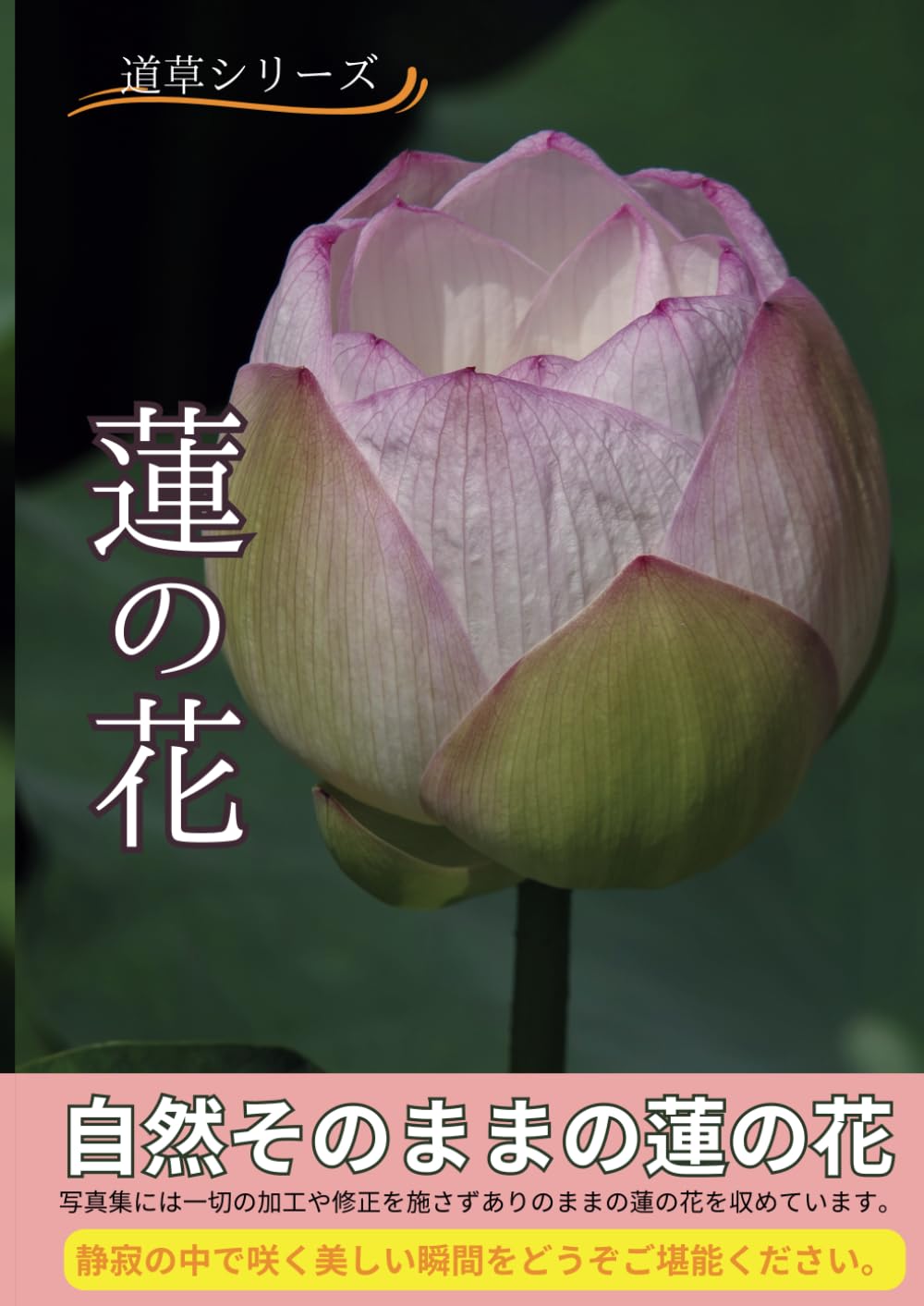 蓮の花: 静けさの中に咲く、蓮の花 (道草シリーズ) | 島次郎 |本
