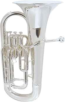 612OhTPQSJL._AC_UF350,