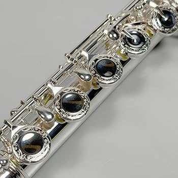 Pearl　フルート　PF-521E　Eメカ　オフセット　リッププレート銀製 612Ohhd31UL._UF350,350_QL80_.jpg