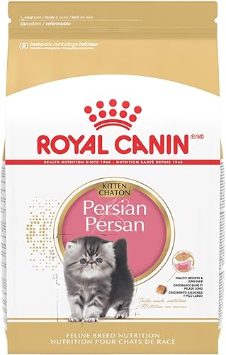 Royal Canin Alimento seco para gatitos de raza persa Royal Canin Alimento seco para gatitos de raza persa