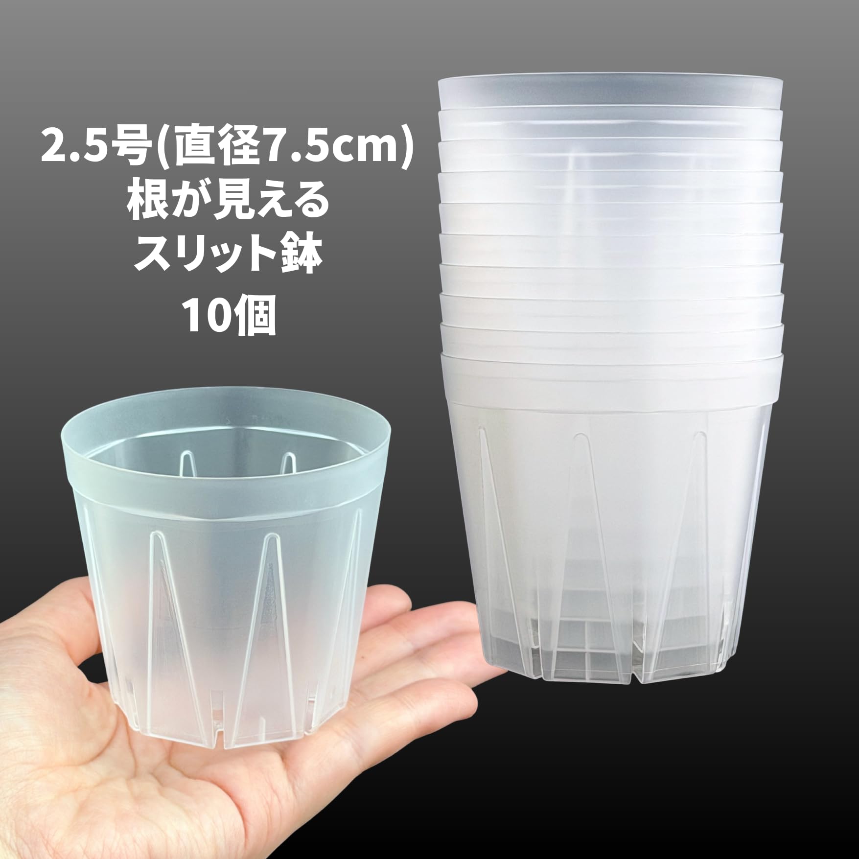 Amazon.co.jp: 透明スリット鉢 2.5号 直径7.5cm 10個 根が見える 日本