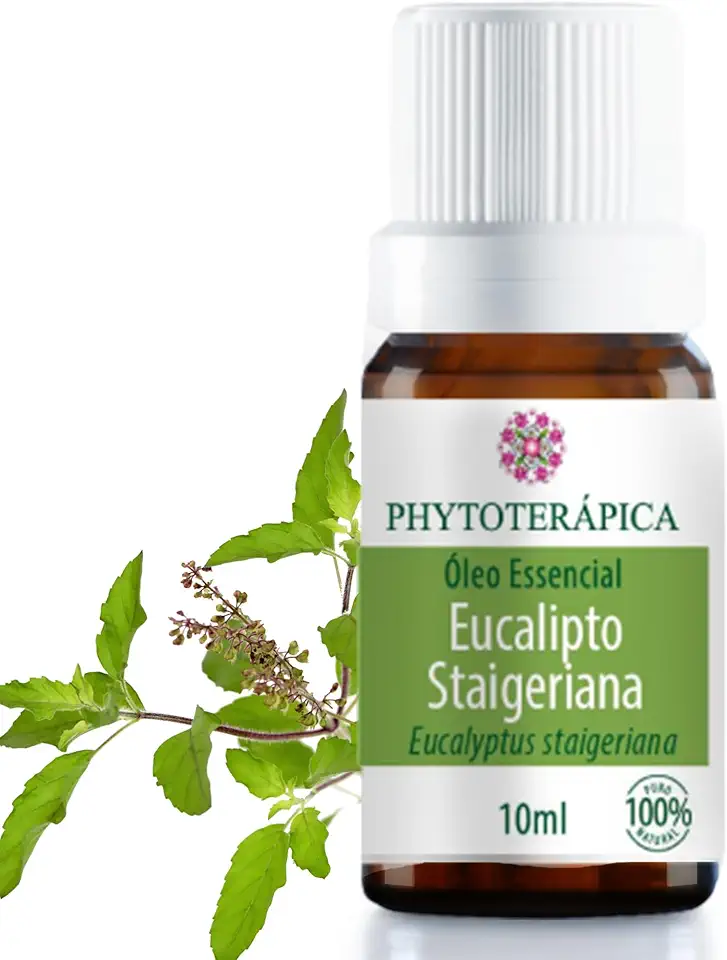 PHYTOTERAPICA - Óleo Essencial Orgânico Eucalipto Citriodora - Para Difusor, Massagem e Aromaterapia - Auxilia em sintomas de fadiga mental e Fortalece o cabelo - 100% Puro e Natural - Herbáceo, 10ml