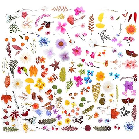 NOGAMOGA Pegatinas para Scrapbooking 320 Piezas Cover