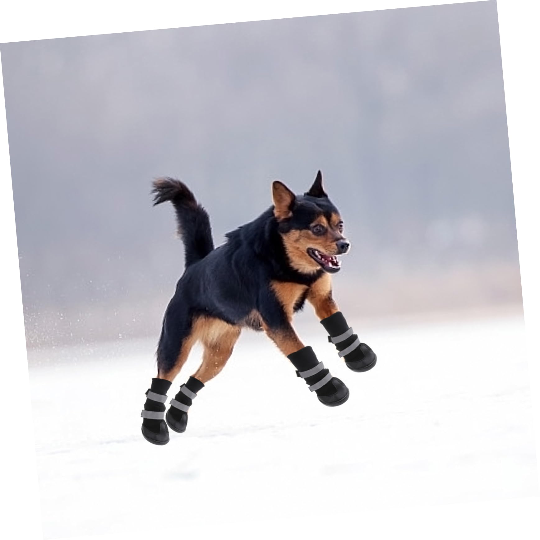 FRCOLOR 8 STK Regenstiefel Für Hunde Haustier Hund Winterschuhe Haustierschuhe Für Kleine Hunde Winterstiefel Für Hunde Pfotenabdeckungen Für Hunde Hundestiefel Katzenpfote Großer Hund