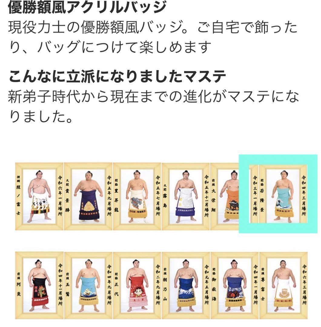 大相撲　若隆景　優勝額風アクリルバッジ　クレーン　相撲　ガチャ 大相撲 関脇 若隆景関 クレーンゲーム 優勝額風アクリルバッジ
