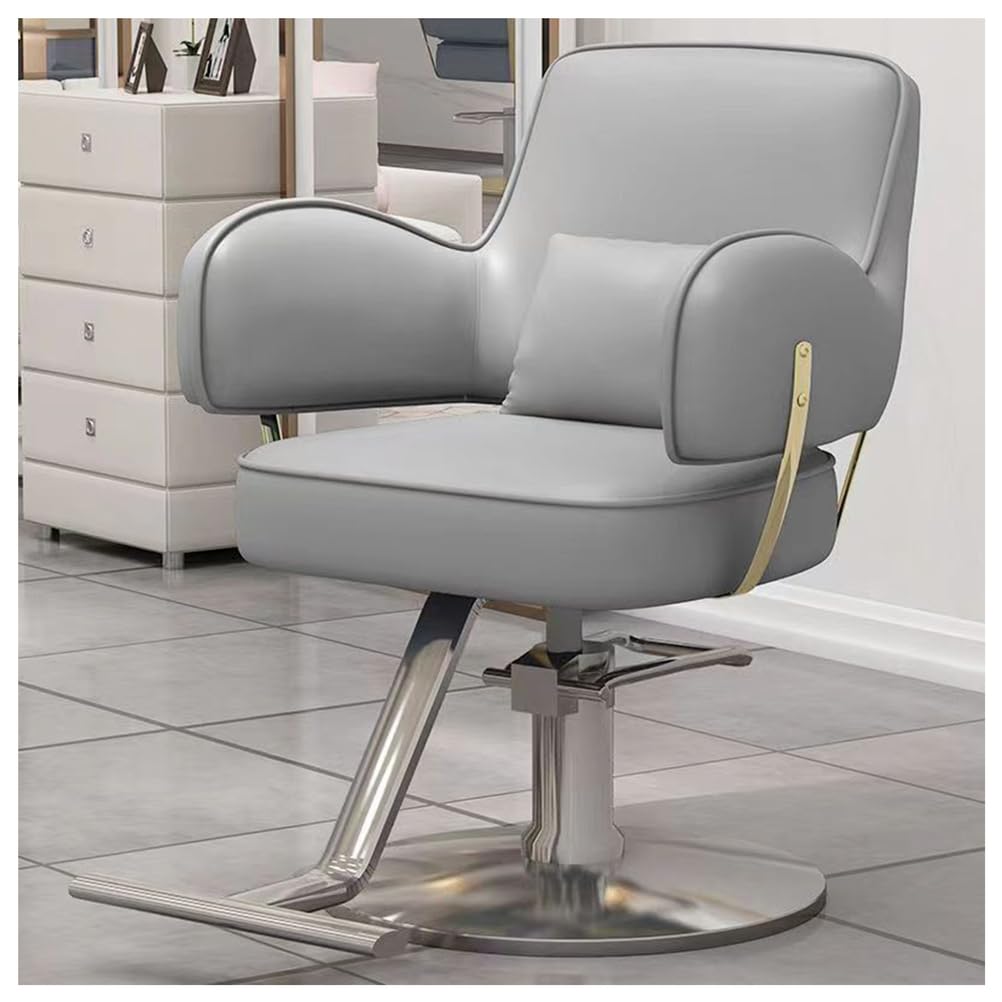 OZBMA Barber Chair,Salon Chair for Hair Stylist,Salon with Hydraulic Pump,360 Degree Swivel Stylist Chairs Footrest,Gray,D (Grey A)