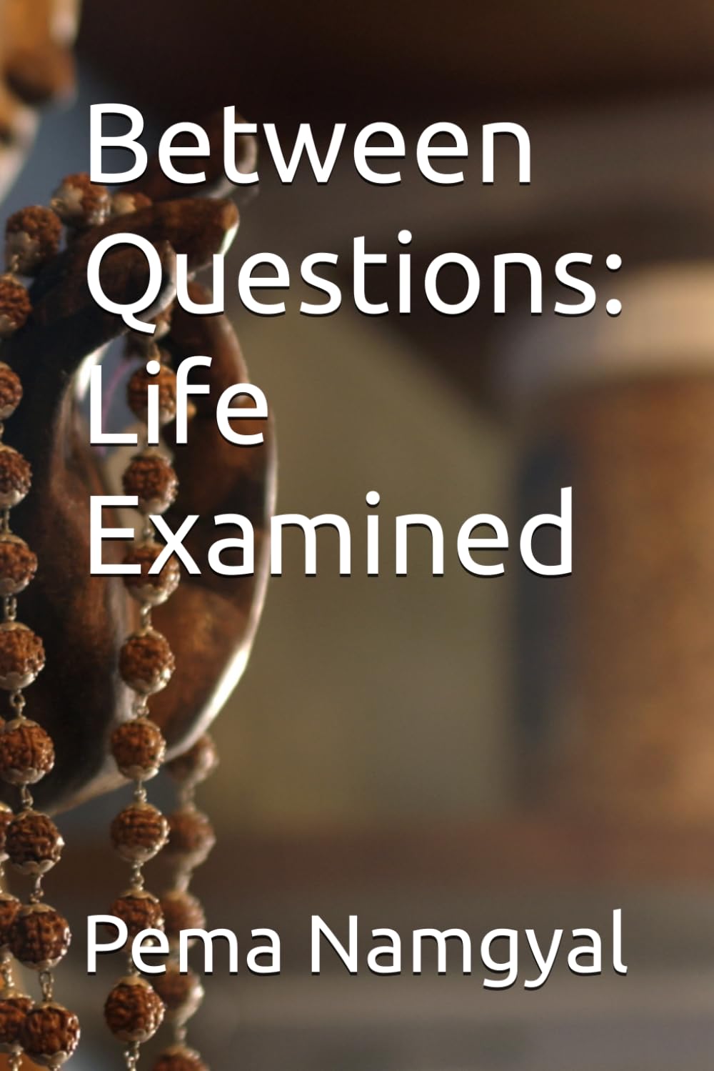Between Questions: Life Examined