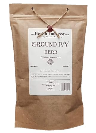 Health Embassy Ground Ivy Herb | Glechoma hederacea L | Herbal Tea 100g
