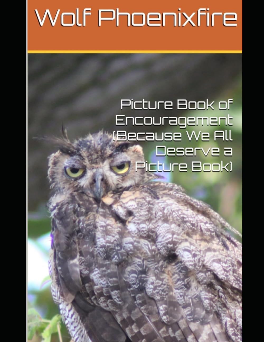 Picture Book of Encouragement (Because We All Deserve a Picture Book)      Paperback – December 15, 2025