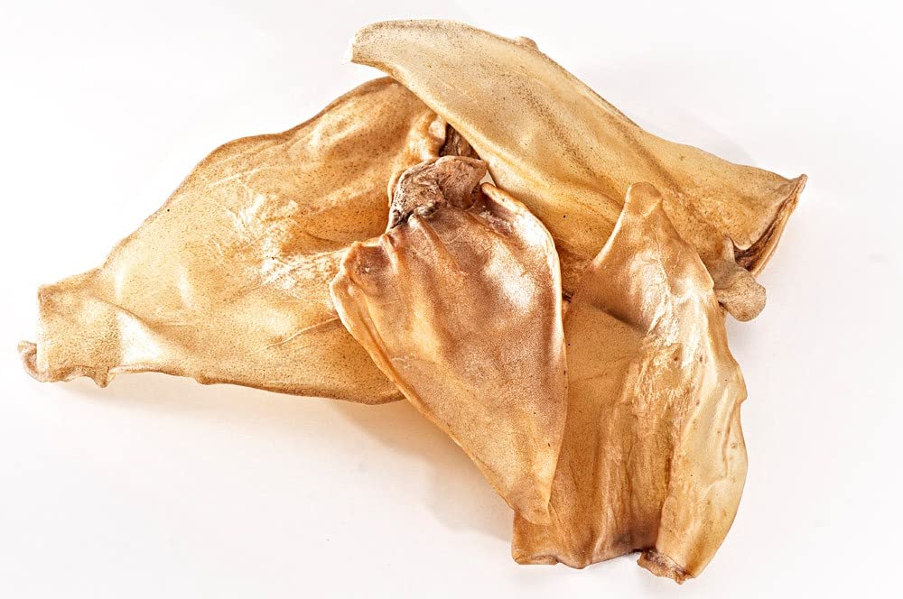 Orecchie di bufalo 10 pezzi – orecchie di manzo – Snack magro per intervallo e come ricompensa – Pacchetto di scorte (orecchie di manzo 10 pezzi)
