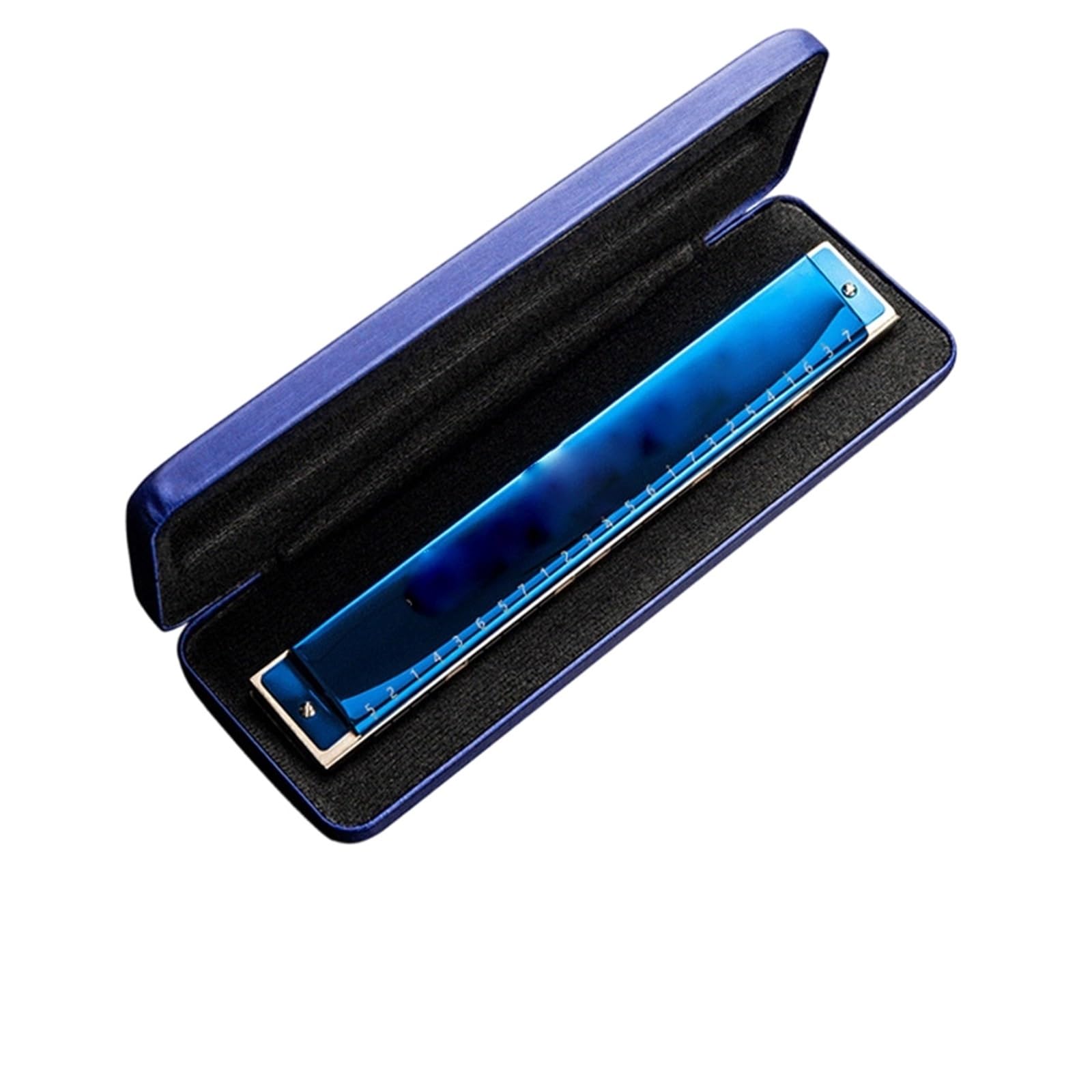 Principianti Armonica Armonica A Bocca Polifonica A 24 Fori In Do Per Principianti Livello Base Per Adulti Accento Livello Professionale(Polyphonic C blue)