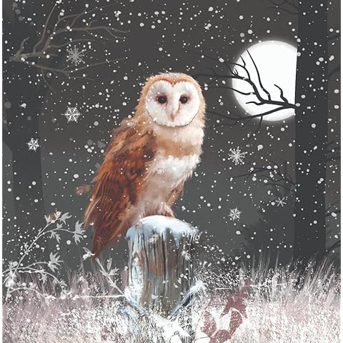 Paper Themes Luxury Christmas Cards Pack of 10 Cover