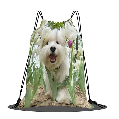 [Wnicek] WobO y ibvTbN j̎q AȌ vg ɗD iCobO ̑ YƖ sъCO Cws