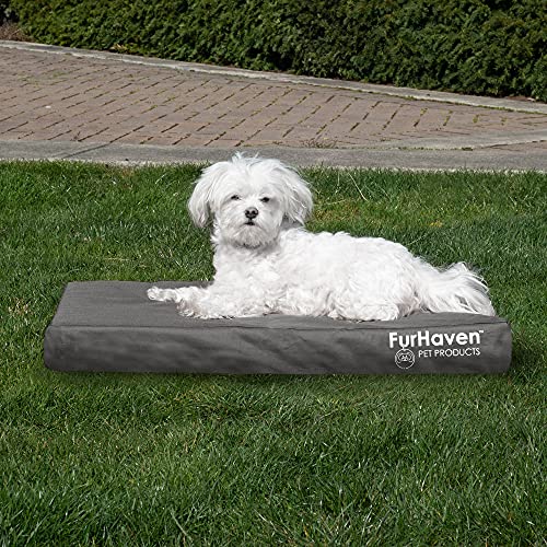 Furhaven Water-Resistant Orthopedic Dog Bed For Medium/Small Dogs W/ Removable Washable Cover, For Dogs Up To 35 Lbs - Indoor/Outdoor Logo Print Oxford Polycanvas Mattress - Stone Gray, Medium #TOP2