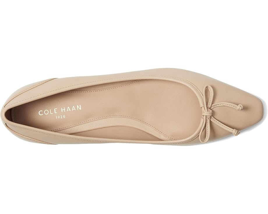Cole Haan Chlesea Ballet Flats - Top View