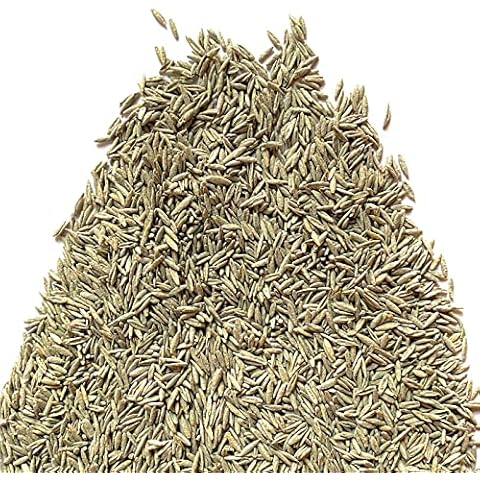 Il Contadino FESTUCA ARUNDINACEA con RHIZO Alfombra Césped Cover