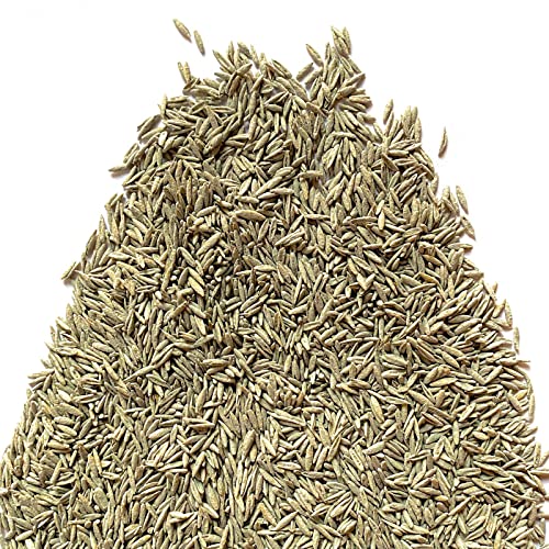 Il Contadino - Antiche Sementi | FESTUCA ARUNDINACEA | Césped, Apto para todos los lugares y tipos de suelo, excelente resistencia a la sequía, al pisado y al sombreado (5 kg)