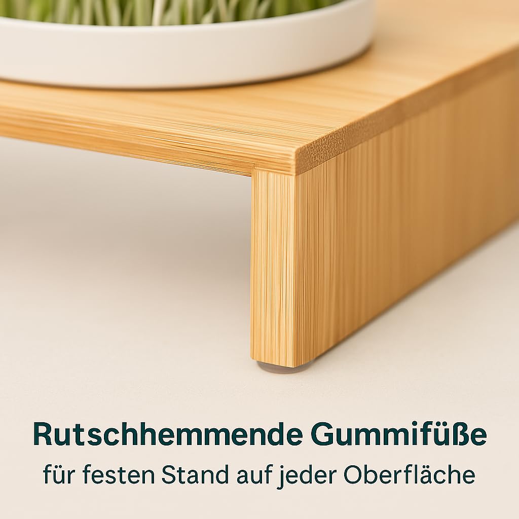 Glücksmoment Kressebank 42cm mit 3 Keramik Kresse Anzuchtschalen für Kressesamen, Sprossen & Microgreens, Sprossen Anzuchtset, Anzuchtregal, 3 Anzuchttöpfe, 3 x Keimschale mit Kressesieb, Keimschalen