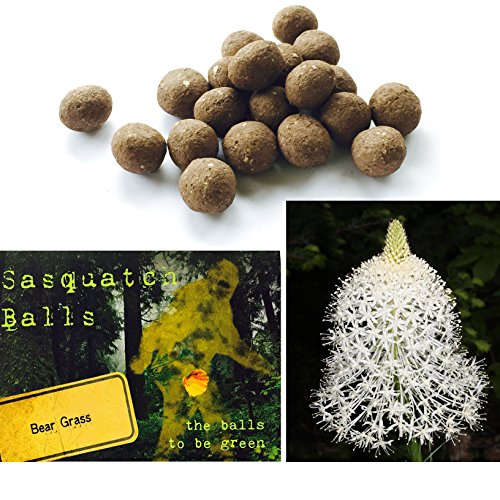 20 Bear Grass Sasquatch Balls. The Ultimate Seed Bombs For The Western Us. (Xerophyllum Tenax) #TOP7