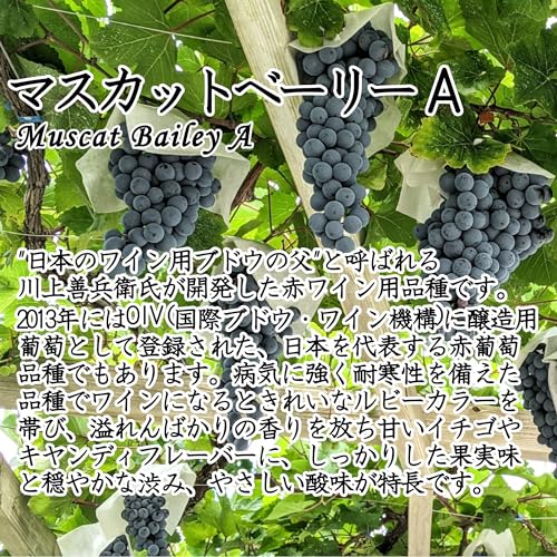 シャンモリ GI山梨 マスカット・ベーリーA 赤ワイン 750ml