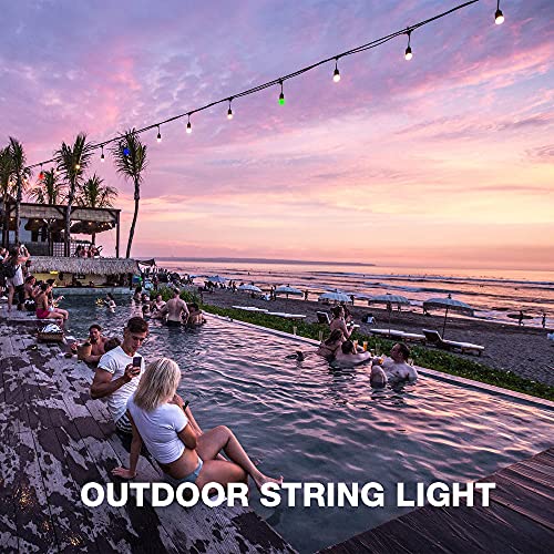 Alampever 24-Pack Colored Led String Light Bulbs - Shatterproof & Waterproof, Vintage Style - Red, Green, Blue, Warm White - 1W Outdoor Bulbs With E26 Medium Base And Cri80 #TOP6