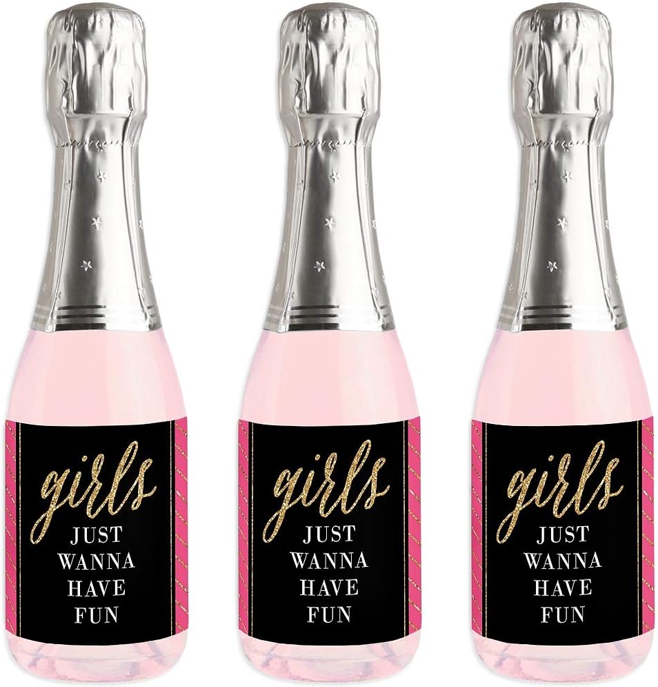 Big Dot of Happiness Girls Night Out - Mini Wine and Champagne Bottle Label Stickers - Bachelorette Party Favor Gift for Women and Men - Set of 16