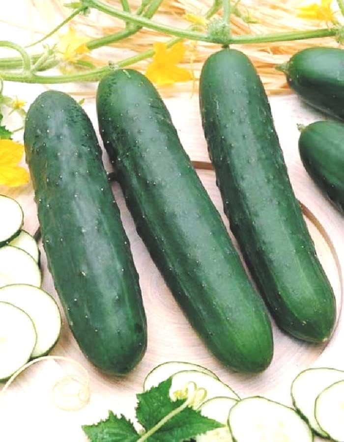 Miniatura 5 de Semillas de pepino de interior Zozulya Long - Autopolinizadas - Vegetales tradicionales - Sin OMG